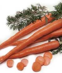 Carrot